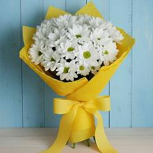 Букет цветов из:  Хризантемы в Тищенском