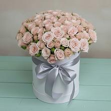 Цветочная композиция из Розы в шляпной коробке #REPLACE_PRED# Тищенском