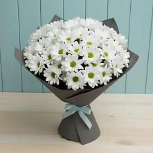 Букет цветов из:  Хризантемы в Тищенском
