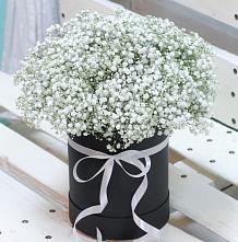 Цветочная композиция из Гипсофила в шляпной коробке #REPLACE_PRED# Тищенском