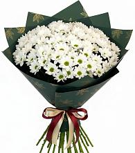 Букет цветов из:  Хризантемы в Тищенском