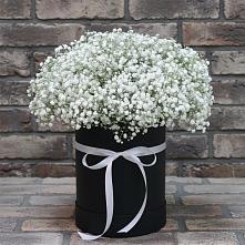 Цветочная композиция из Гипсофила в шляпной коробке #REPLACE_PRED# Тищенском