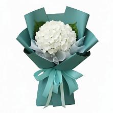 Букет цветов из:  Гортензия в Тищенском